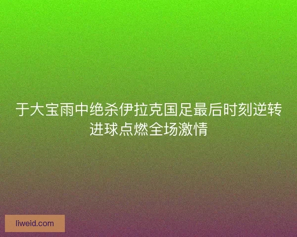 于大宝雨中绝杀伊拉克国足最后时刻逆转进球点燃全场激情